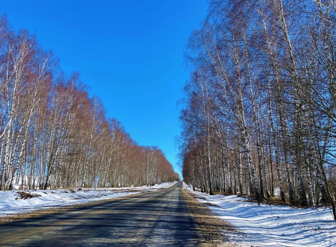 О погоде на предстоящую рабочую неделю