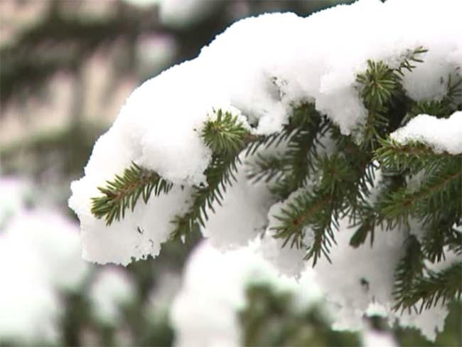 Прогноз погоды на выходные дни