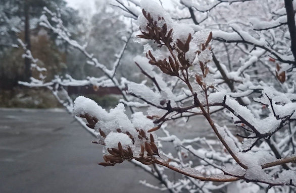 Прогноз погоды на предстоящую неделю