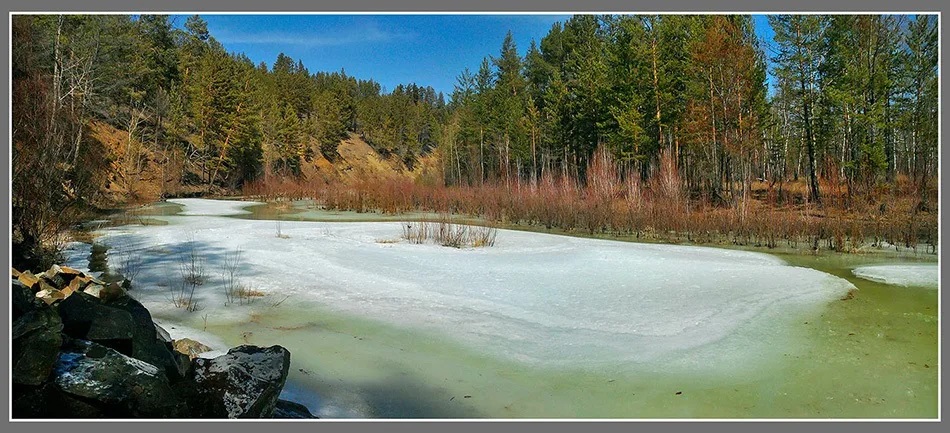 Прогноз погоды на предстоящую неделю
