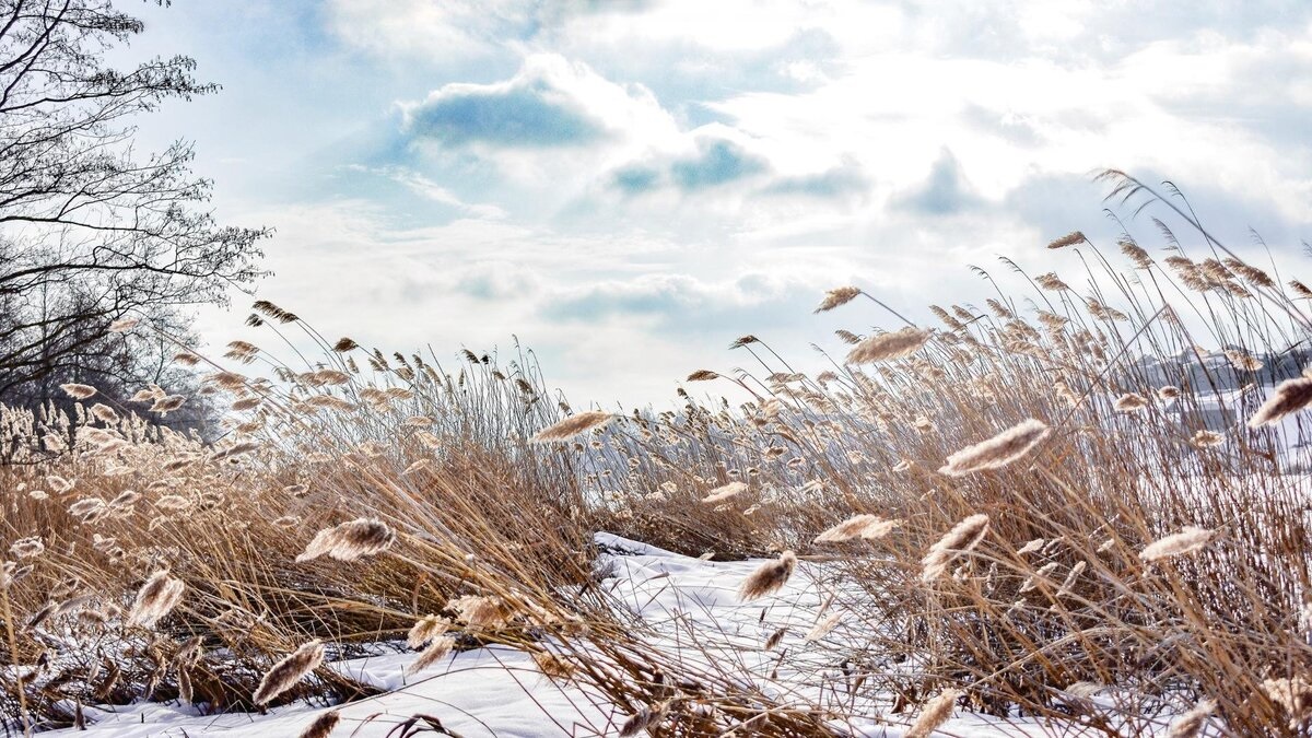 Прогноз погоды на предстоящую неделю