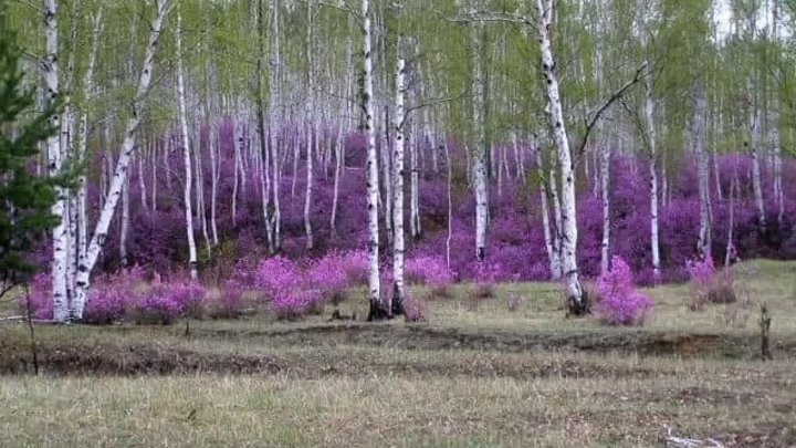 Прогноз погоды на предстоящую неделю
